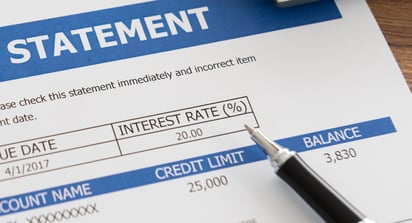 Balance statement sheet showing interest rate